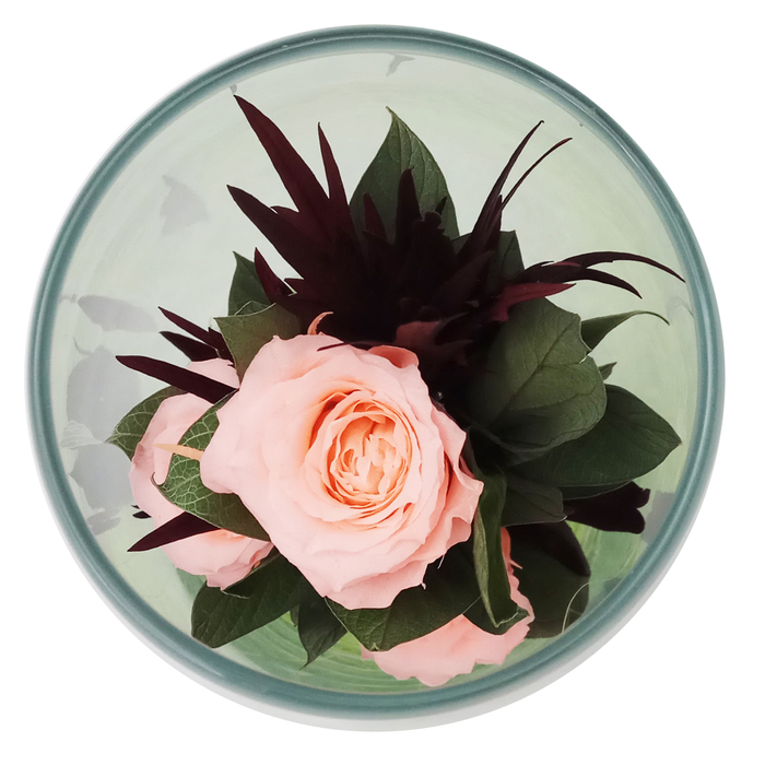 Композиция в вазе "Мунглинг", розы персиковые, 10 х 10 х 25 см