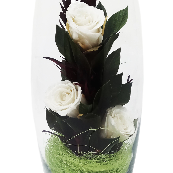 Композиция в вазе "Мунглинг", розы белые, 10 х 10 х 25 см