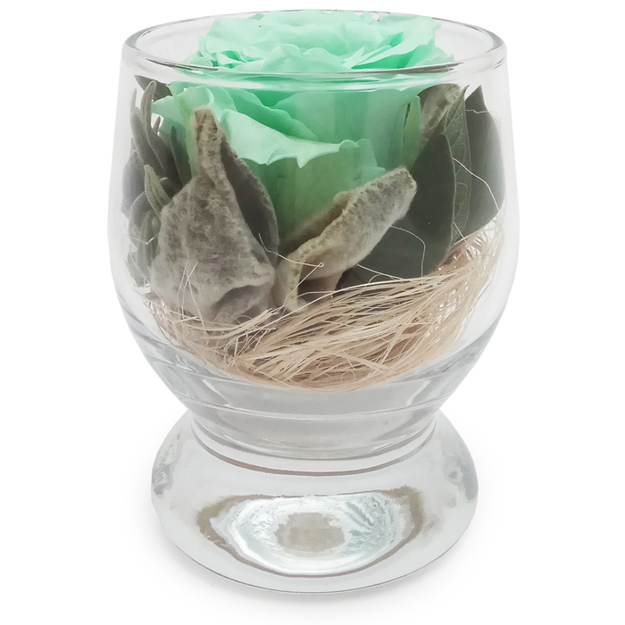 Композиция в стеклянном стакане "Акватик", роза фисташковая, 6,5 х 6,5 х 8,5 см