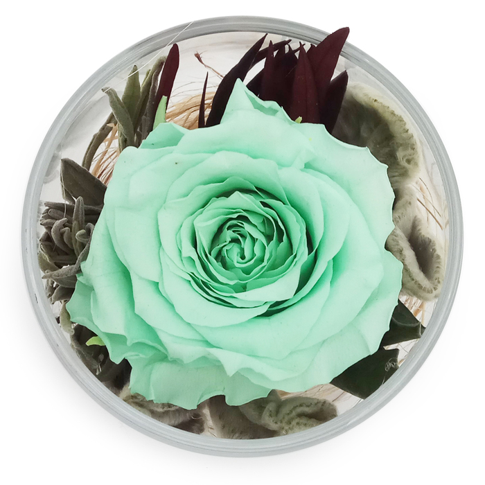 Композиция в стеклянном стакане "Акватик", роза фисташковая, 6,5 х 6,5 х 8,5 см