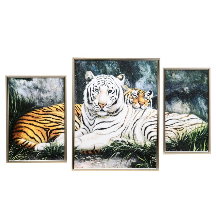 Модульная картина "Пара разных тигров" 33*48, 48*63, 27*48см ,  63*108 см