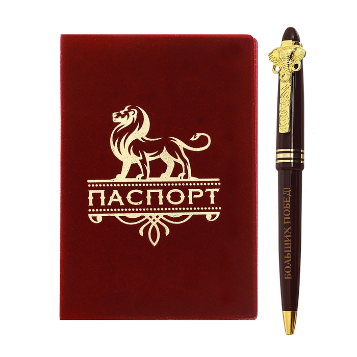 Подарочный набор "Новых успехов, больших побед": обложка для паспорта и ручка