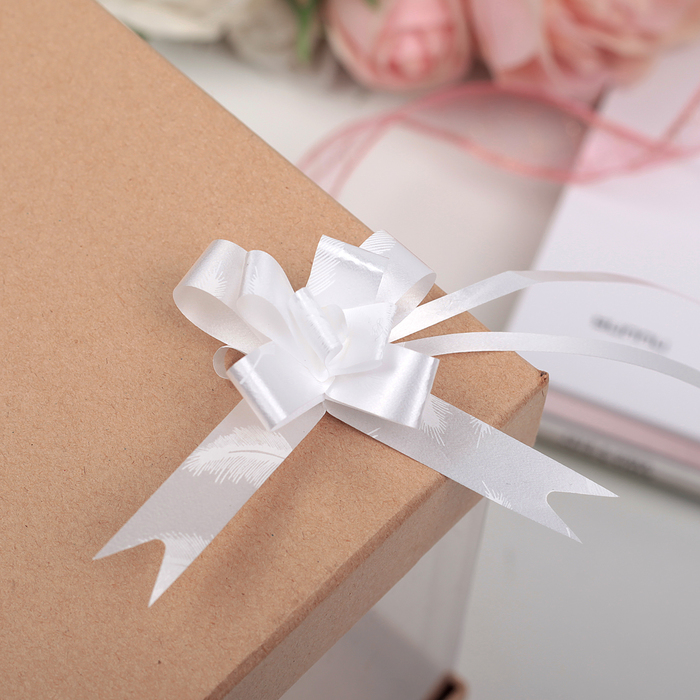 Бант-бабочка №1,2 голография с рисунком