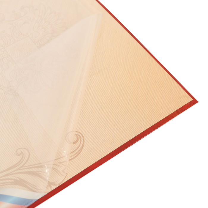 Папка с 2-мя файлами «Мои документы»