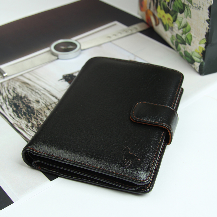 Портмоне 3 в 1, 2 отдела, для карт, для монет, отдел для автодокументов и паспорта, цвет коричневый