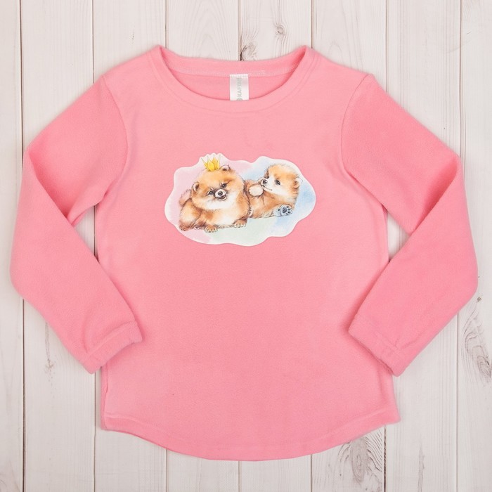 Джемпер детский KAFTAN "Шпицы", рост 98-104 см (30), 3-4 года, розовый, флис