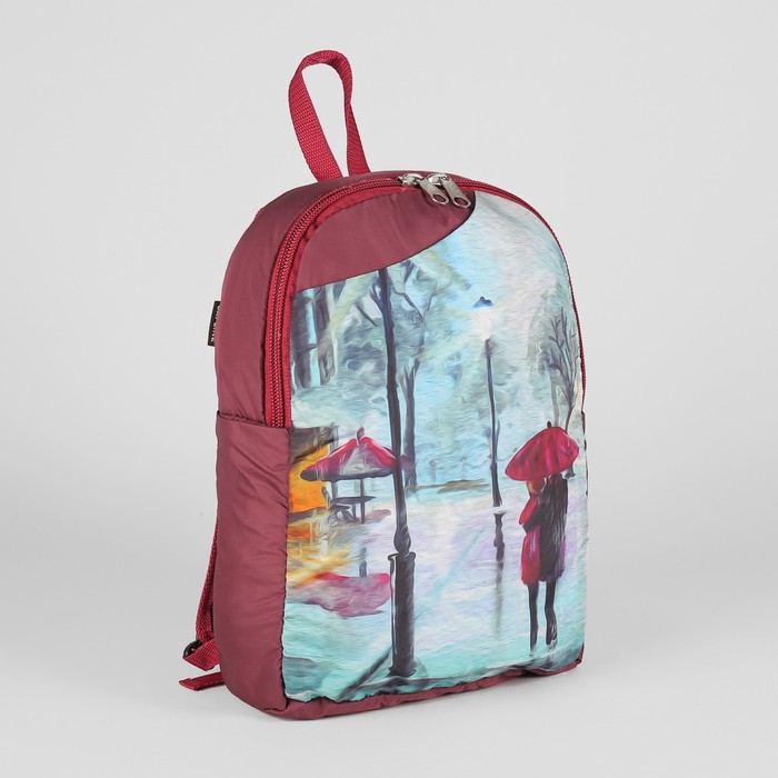 Сумка-рюкзак молодёжный "Зимний сад", отдел на молнии