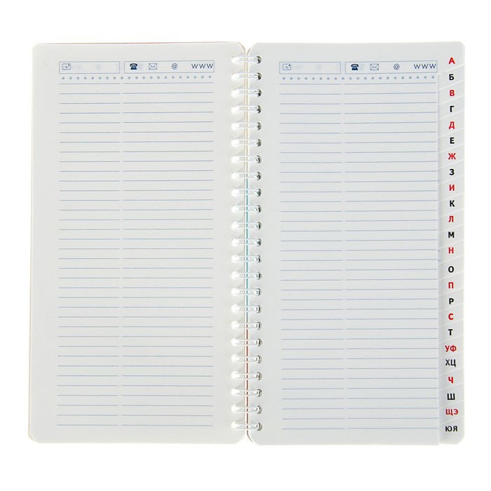 Телефонная книга на гребне А5, 80 листов "Российская символика", линейка, с вырубкой