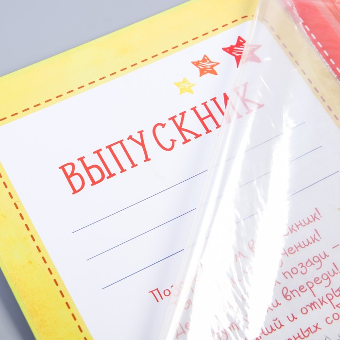 Папка выпускник детского сада с 2-мя файлами, Me To You