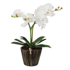 

Настольная лампа FLOWERPOWER 7x0,06Вт LED белый 25x25x37см