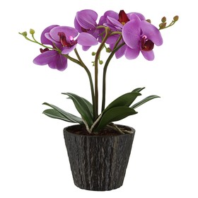 

Настольная лампа FLOWERPOWER 7x0,06Вт LED фиолетовый 25x25x37см