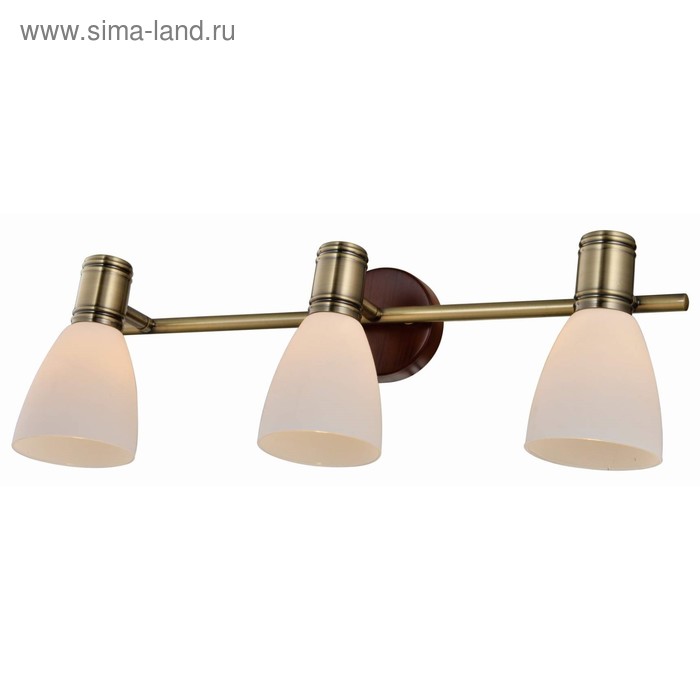 

Споты SHARYL 3x40Вт E14, античная бронза, коричневый 48x16x16 см