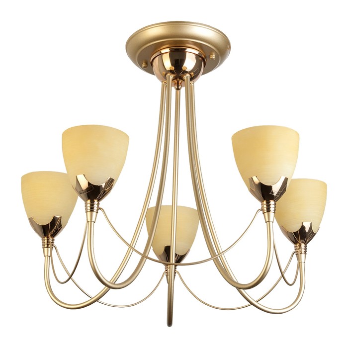 Люстра потолочная Lucia 5x60Вт E14 матовое золото 56x56x49см