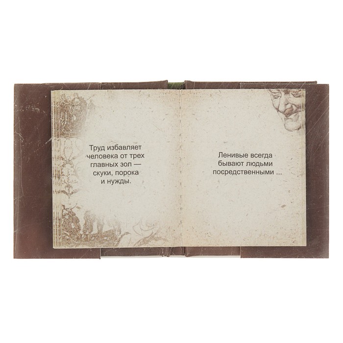 Миниатюрная книга афоризм. Золотые цитаты классиков литературы. Автор: Ф.-М. Вольтер