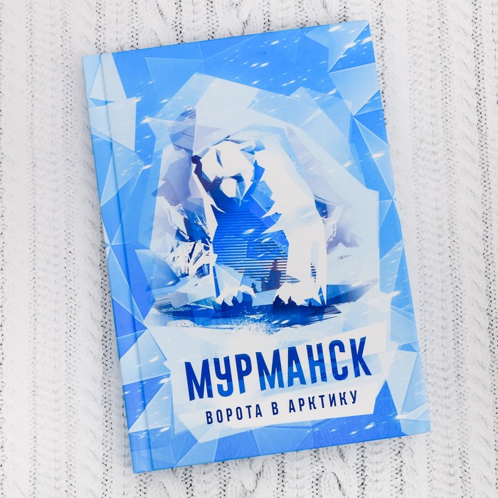 Ежедневник "Мурманск"