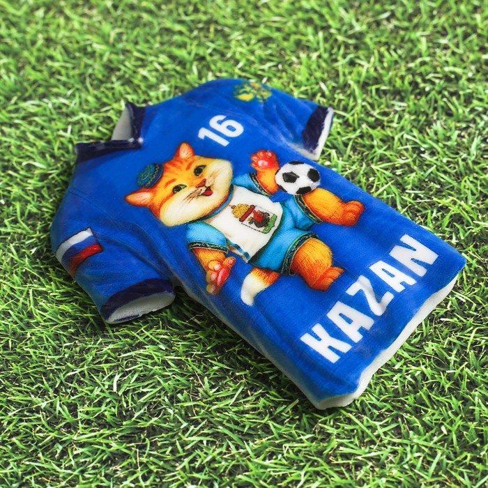 Магнит в форме футболки «Казань»