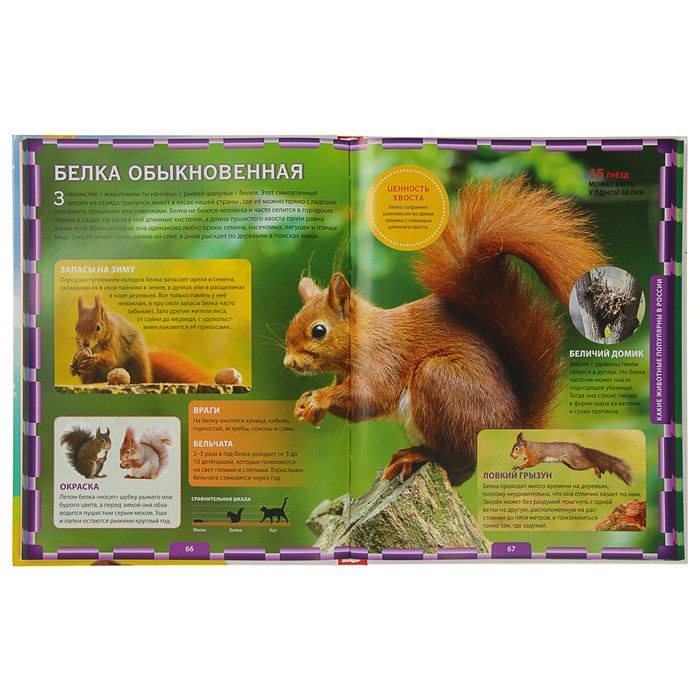 Отличная энциклопедия для мальчишек и девчонок