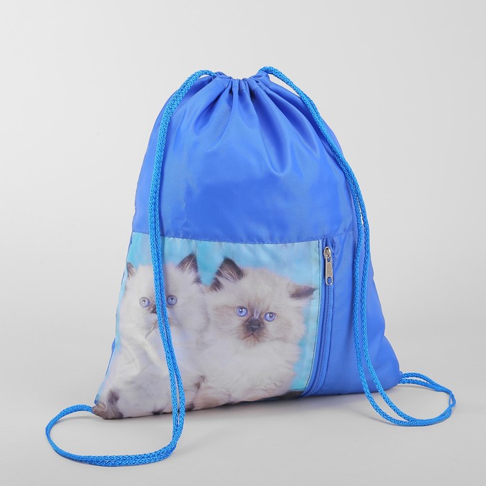 Мешок для обуви "Два котёнка", отдел на шнурке, наружный карман