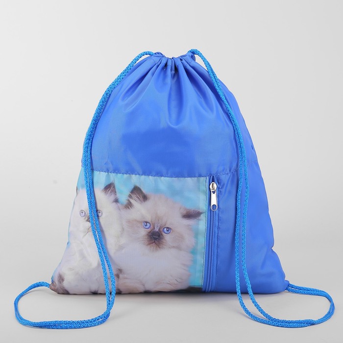 Мешок для обуви "Два котёнка", отдел на шнурке, наружный карман