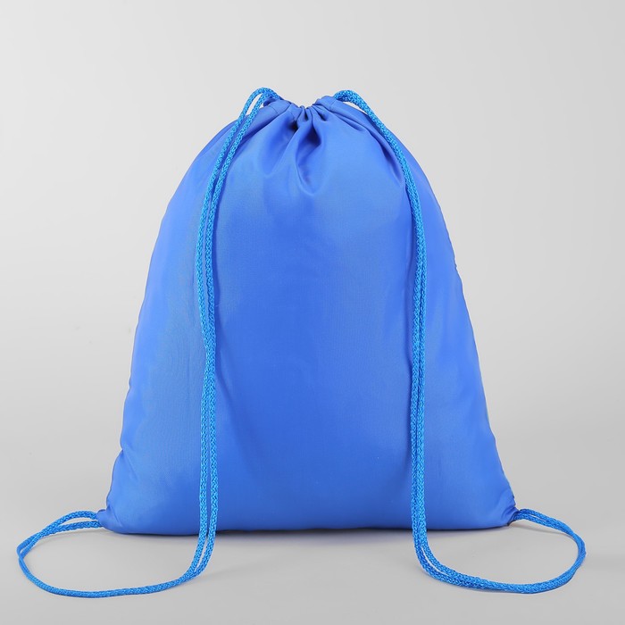 Мешок для обуви "Два котёнка", отдел на шнурке, наружный карман