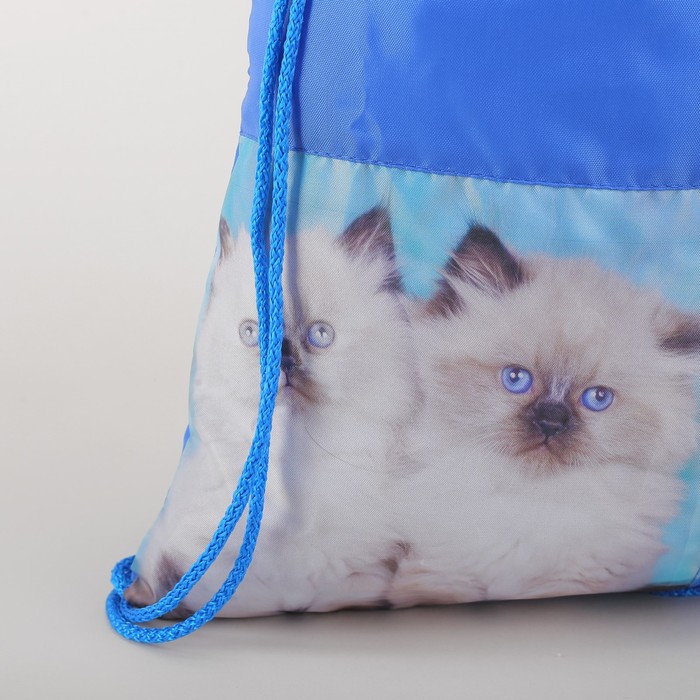 Мешок для обуви "Два котёнка", отдел на шнурке, наружный карман