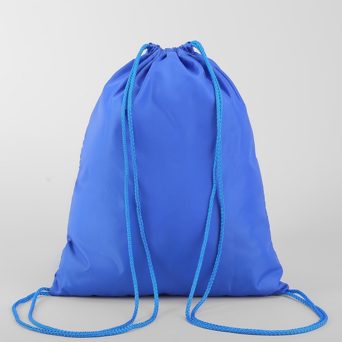 Мешок для обуви МСО-6С, 35*1*43, отдел на шнурке, н/карман, Дельфины