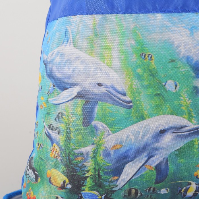 Мешок для обуви МСО-6С, 35*1*43, отдел на шнурке, н/карман, Дельфины