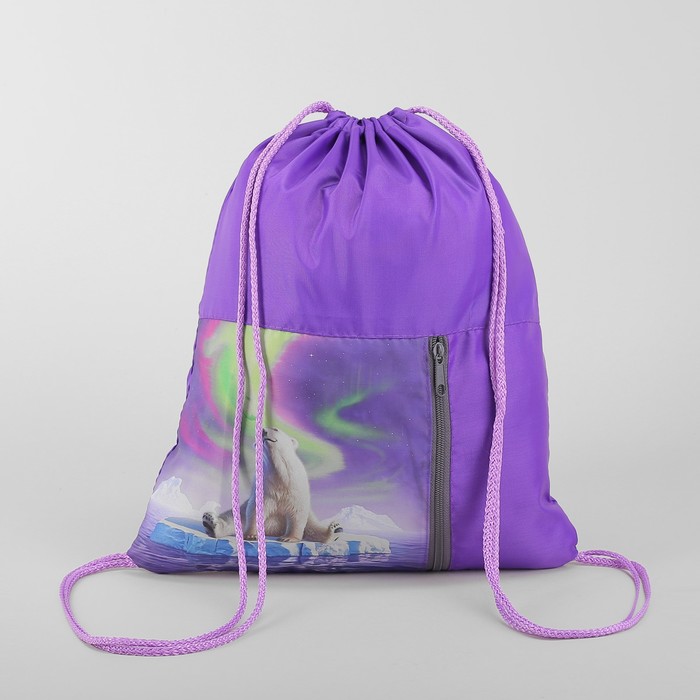 Мешок для обуви "Мишка на льдине", отдел на шнурке, наружный карман