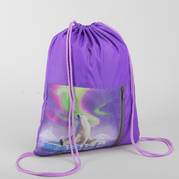 Мешок для обуви "Мишка на льдине", отдел на шнурке, наружный карман