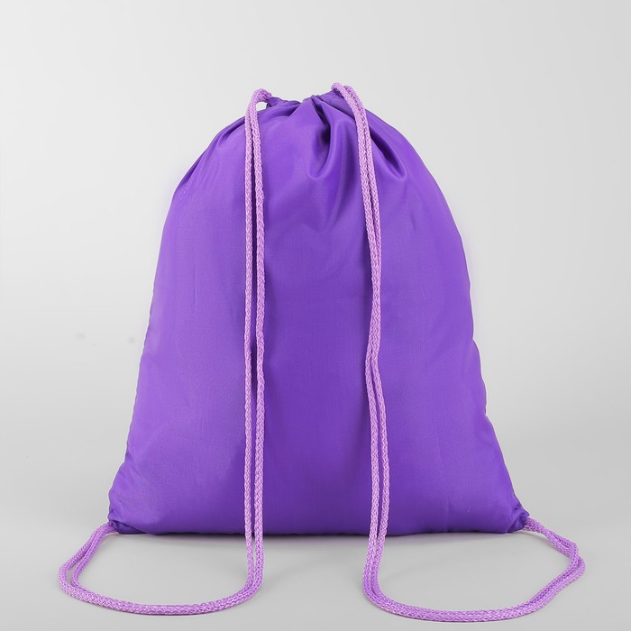 Мешок для обуви "Мишка на льдине", отдел на шнурке, наружный карман