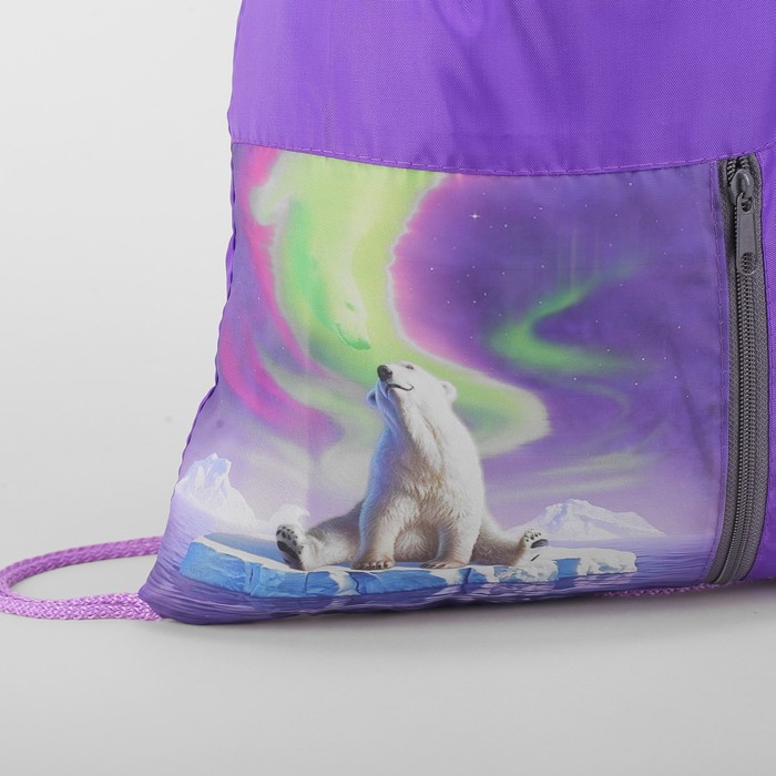 Мешок для обуви "Мишка на льдине", отдел на шнурке, наружный карман