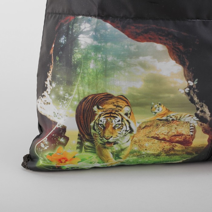 Мешок для обуви МСО-6С, 35*1*43, отдел на шнурке, н/карман, Пещера