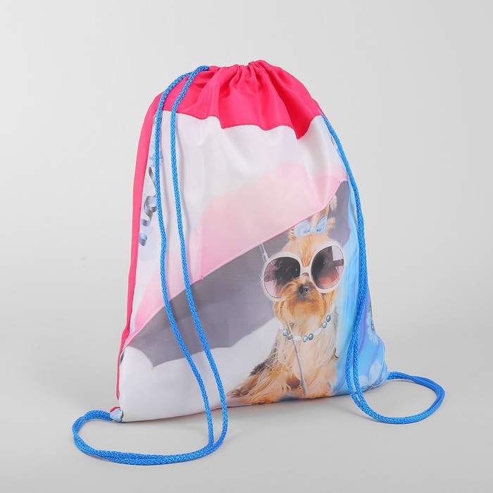 Мешок для обуви "Собака под зонтом", отдел на шнурке