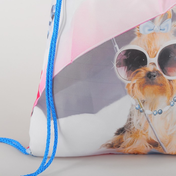 Мешок для обуви "Собака под зонтом", отдел на шнурке