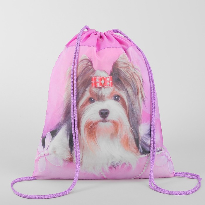 Мешок для обуви "Йорк", отдел на шнурке