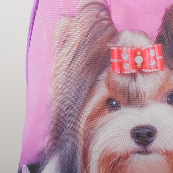 Мешок для обуви "Йорк", отдел на шнурке