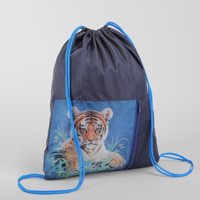 Мешок для обуви "Тигрёнок", отдел на шнурке наружный карман