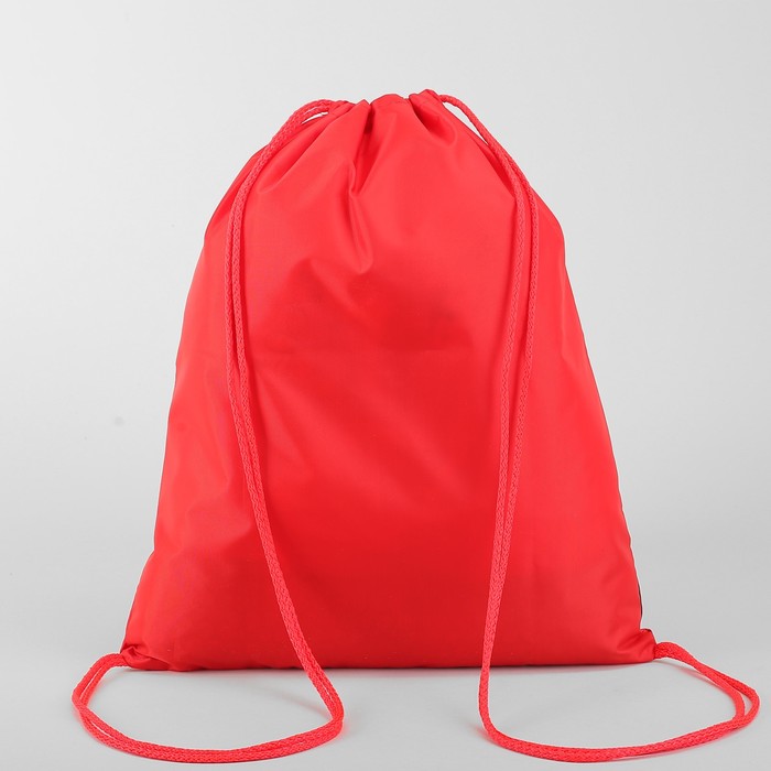 Мешок для обуви "Собачки", отдел на шнурке, наружный карман