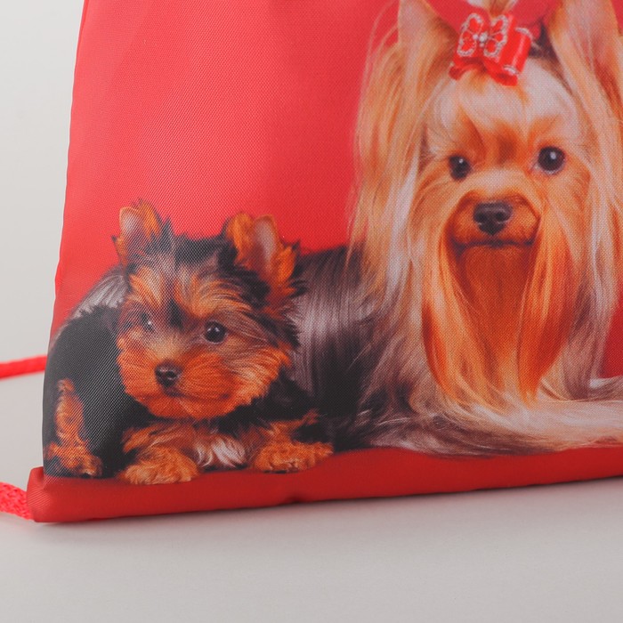 Мешок для обуви "Собачки", отдел на шнурке, наружный карман