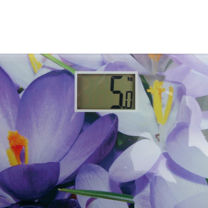 Весы напольные EuroStek ЕВS-2605, электронные, до 180 кг