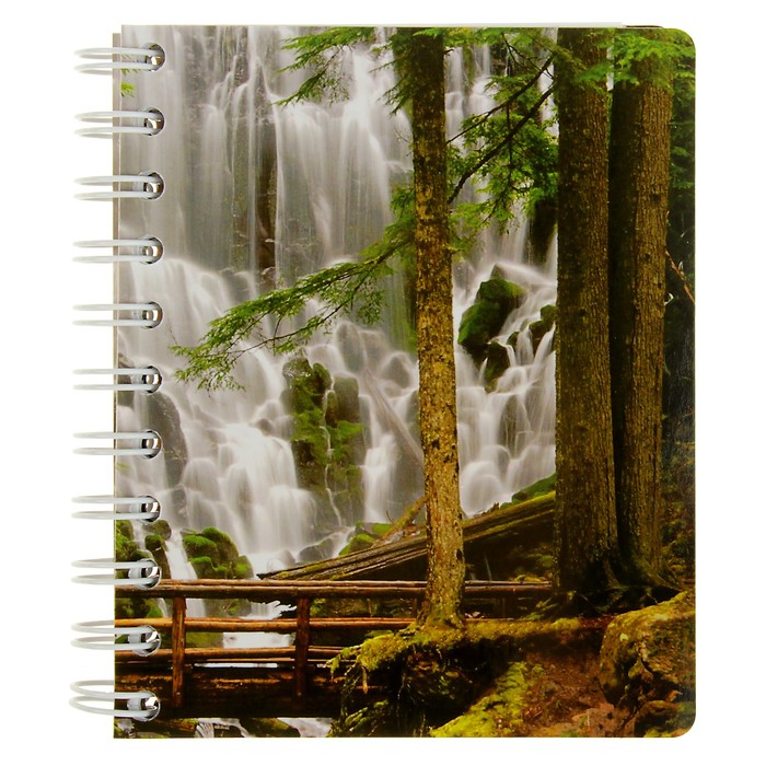 Тетрадь А6, 120 листов клетка на гребне с разделителями "Природа", картонная обложка, ламинация