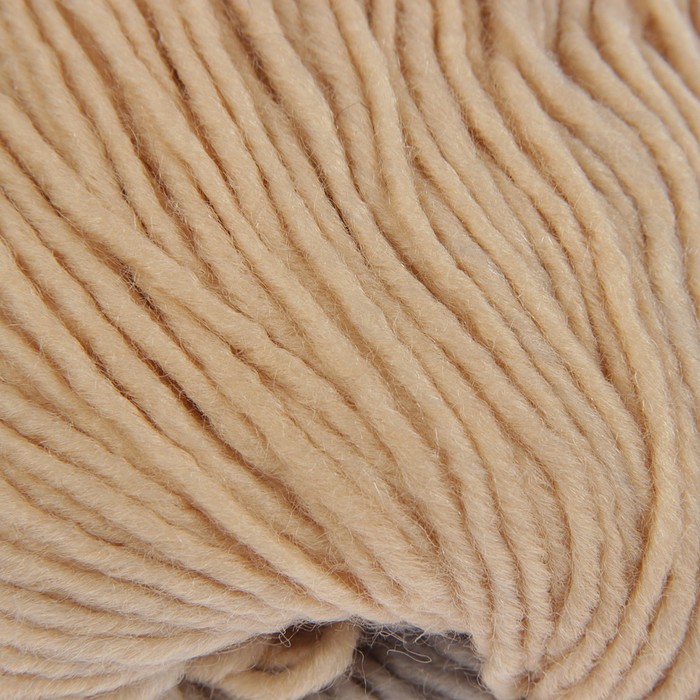 Пряжа "OMBRE" 25 % шерсть, 75 % премиум акрил 190м/100г (20382 принт)