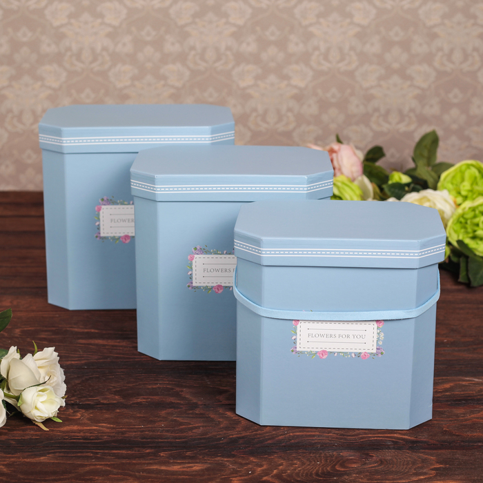 Набор коробок 3в1, голубой, 23,5 х 22,5 х 17,5 - 19,5 х 18,5 х 14,5 см