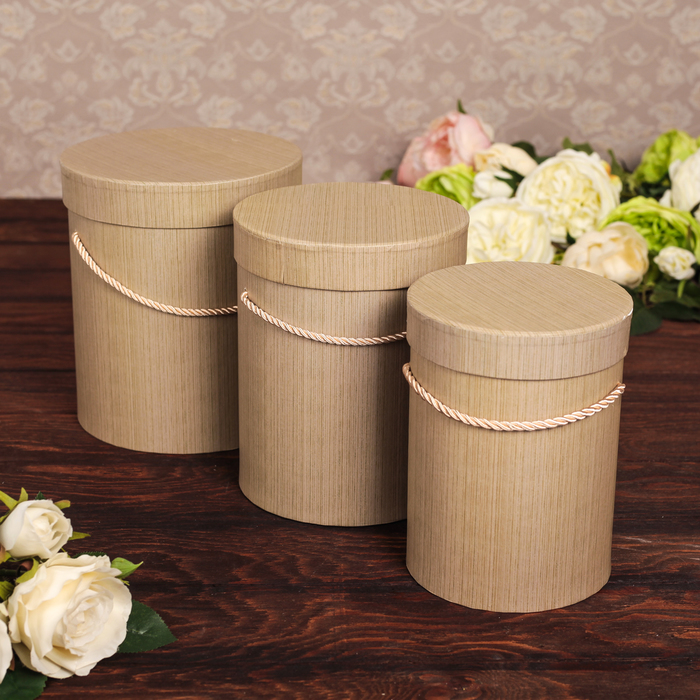 Набор коробок 3в1, 18 х 18 х 20,5 - 14 х 14 х 18 см