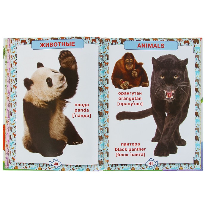 «Первая энциклопедия животных для малышей. От 8 месяцев до 5 лет»