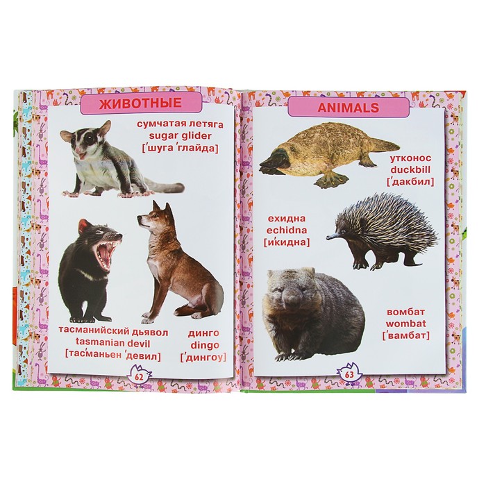 «Первая энциклопедия животных для малышей. От 8 месяцев до 5 лет»