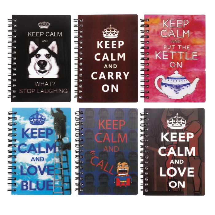 Блокнот в пластиковой обложке 3D А6, 50 листов на гребне «Молодёжная», 6 видов микс