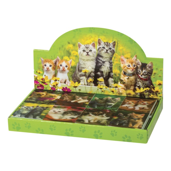 Блокнот пластиковая обложка 3D А7, 40 листов на клею «Котята»