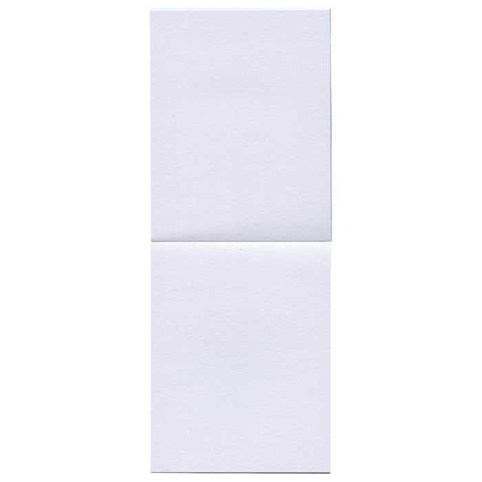 Блокнот пластиковая обложка 3D А7, 40 листов на клею «Попугаи»