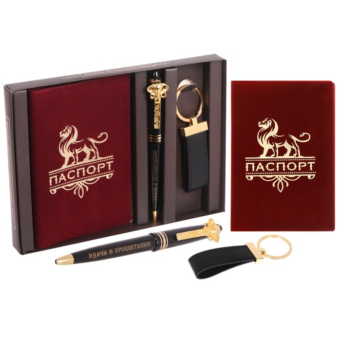 Набор: "Стремись к цели": обложка для паспорта, ручка, брелок